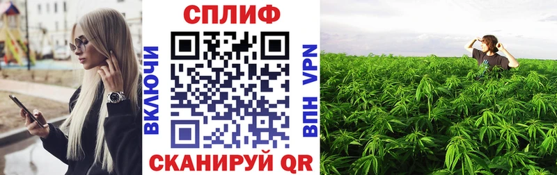 Где купить наркотики Касимов Alpha-PVP  ГАШИШ  АМФЕТАМИН  Кокаин  Метамфетамин  Бошки Шишки 