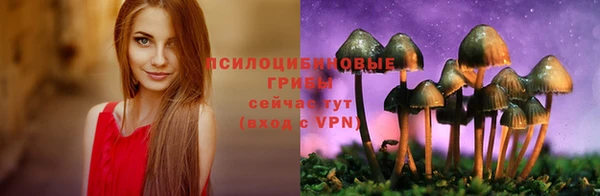 хмурый Верея