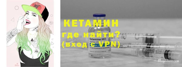 хмурый Верея