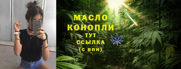 хмурый Верея