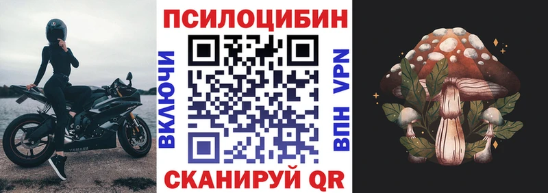 Псилоцибиновые грибы Psilocybe  Касимов 